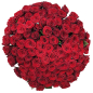 101 красная роза 60 см фото