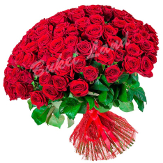 101 красная роза Гран При 60 см фото