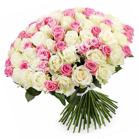 101 роза микс «бело-розовая» 60 см фото