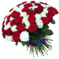 101 роза микс «красно-белая» 60 см фото