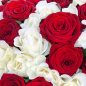 101 роза микс «красно-белая» 60 см фото
