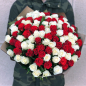 101 роза микс красно-белая 50 см фото