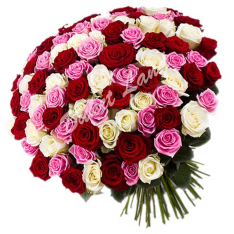 101 роза микс «розово-красно-белая» 60 см фото