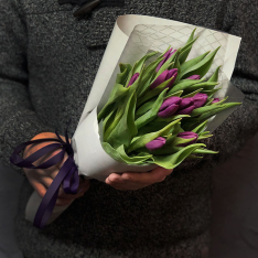 11 фиолетовых тюльпанов фото