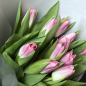 11 розовых тюльпанов фото