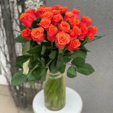 Оранжевая Роза Гош фото