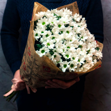 15 белых хризантем  фото