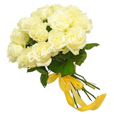 15 белых роз Аваланч 60 см фото