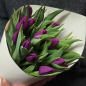15 фиолетовых тюльпанов фото