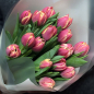 15 пионовидных тюльпанов в ассортименте фото