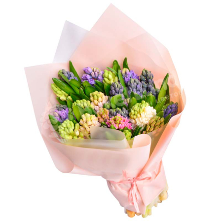 19 гиацинтов микс buketland.com.ua 19 гиацинтов микс фото