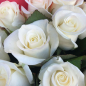 21 белая роза 50 см фото