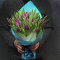 25 фиолетовых тюльпанов фото