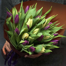 25 тюльпанов микс (2 цвета) фото