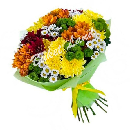 29 хризантем микс buketland.com.ua 29 хризантем микс фото