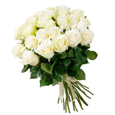 31 белая роза Аваланч 60 см фото