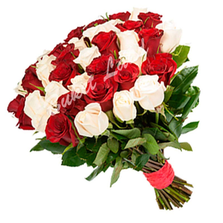 31 роза микс «бело-красная» 60 см фото
