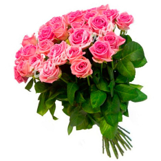 31 розовая роза Аква 60 см фото