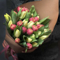 33 тюльпана микс (2 цвета) фото