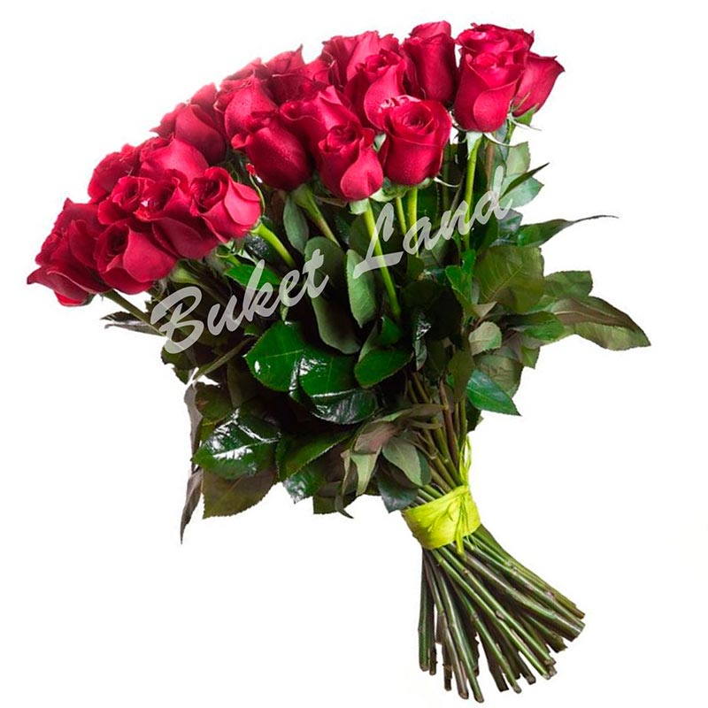 Красные розы голландские гипсофилы цветы купить москва недорого