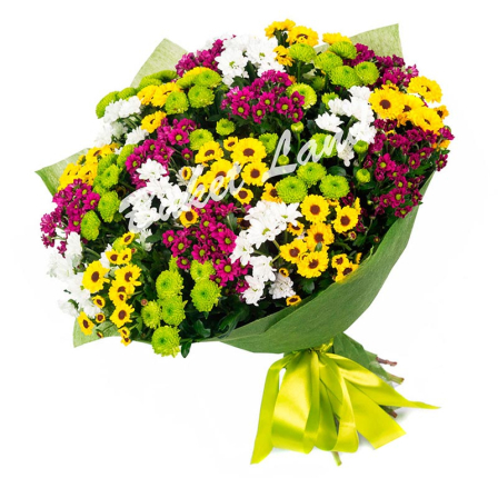 35 хризантем микс 2 buketland.com.ua 35 хризантем микс 2 фото