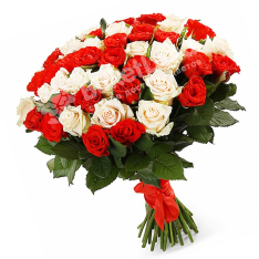 51 роза микс «красно-белая» 60 см фото