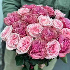 Букет из 25 эквадорских пионовидных роз в ассортименте фото