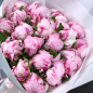 15 розовых пионов фото