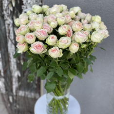 Кустовая голландская роза Кристи фото