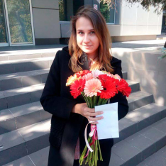 15 гербер микс фото